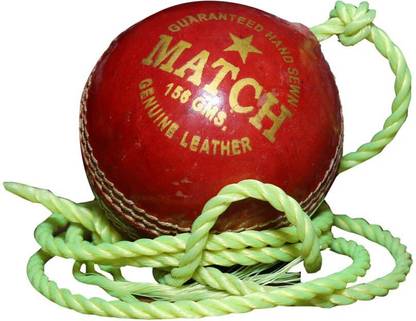 HOC MATCH Cricket Training Ball
