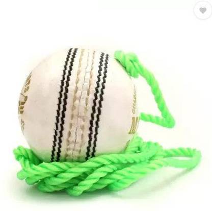 HOC Cricket Hnaging Ball Cricket Training Ball