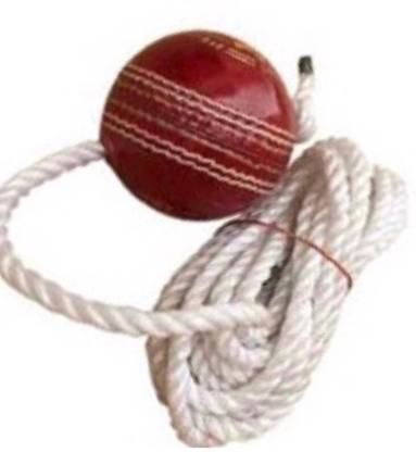 nizex XZCV - Tough Leather Cricket Hanging Ball red For Shot Practice , Ay109 Cricket Training Ball