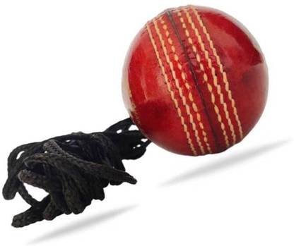 nizex Tough Leather Hanging Ball For Shot Practice / Red , 1 Ball , rz16 Cricket Training Ball