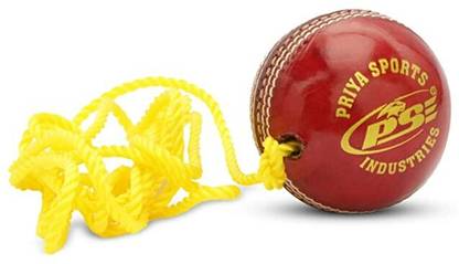 Priya Sports Practice-Red Cricket Training Ball