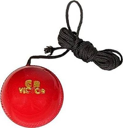 Forgesy Hanging Cricket Ball Hockey Ball
