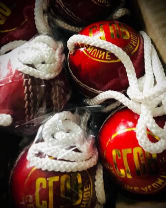 nizex Cricket Leather Hanging Ball for Shot Practice ( 1 Ball red ) i26 Cricket Training Ball