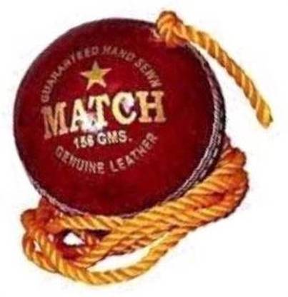 nizex Leather Cricket Hanging Ball / Red Color For Shot Practice , MK53 Cricket Training Ball