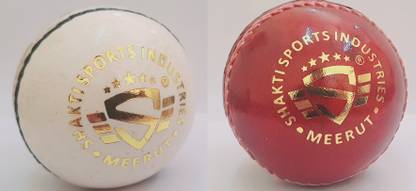 CricketX Leather Cricket Ball Cricket Leather Ball