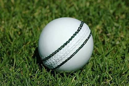 Cfcc dd1 Cricket Leather Ball