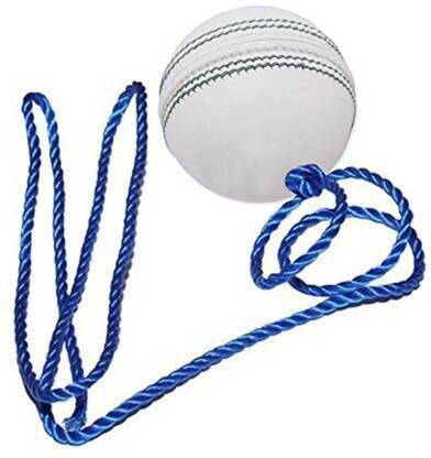 sports trading Cricket Hanging Ball for Practice and Bat Knocking with Rope Cricket Training Ball