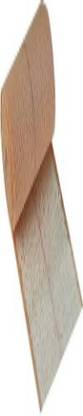 WQEW NET004 Bandage Protector