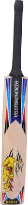 pitchvision Beast Pro 5.0 Kookaburra English Willow Cricket  Bat For 15+ Yrs