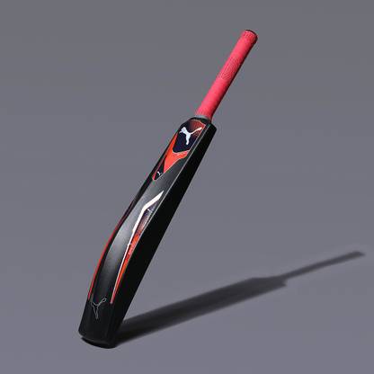 PUMA Indoor Bat English Willow Cricket  Bat For 15+ Yrs