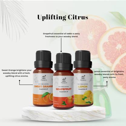 Pedant Sweet orange Grapefruit and Lemon