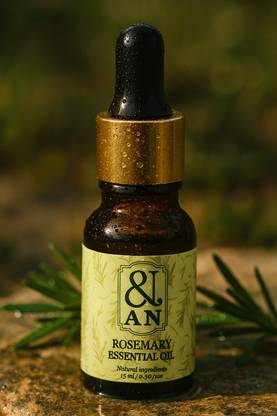 AN Essentials Rosemary Essential Oil (15 ML) | 100% Pure & Natural | Steam-Distilled