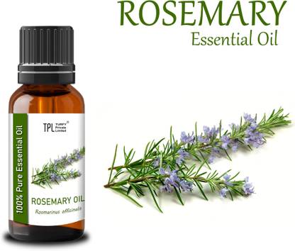 TPL Rosemary Essential Oil 100% Pure Natural Therapeutic Oil For Skin & Hair Growth