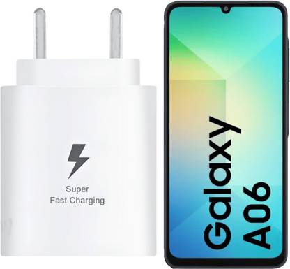 RoarX 25 W PPS 3 A Wall Charger for Mobile