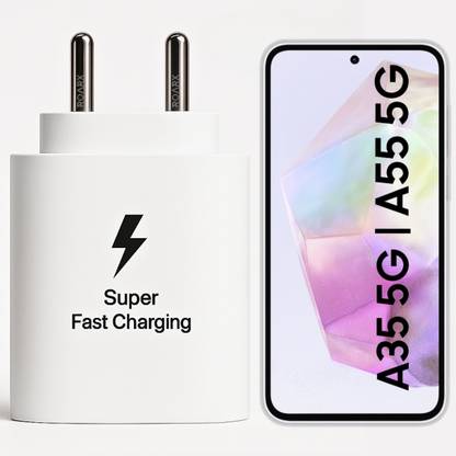 RoarX 25 W PPS 3 A Wall Charger for Mobile