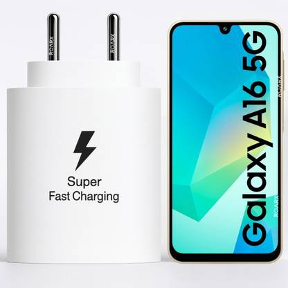 RoarX 25 W PPS 3 A Wall Charger for Mobile