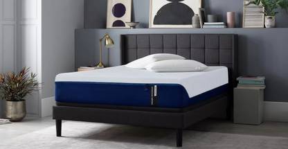 SPRINGTEK Dreamer Orthopedic Memory Foam 5 inch Single High Resilience (HR) Foam Mattress