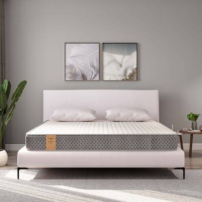 SPRINGWEL PureOrtho CleanTech Pro 6 inch Queen High Density (HD) Foam Mattress