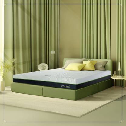 Amore International New Green Tea Active 6 inch Single High Resilience (HR) Foam Mattress