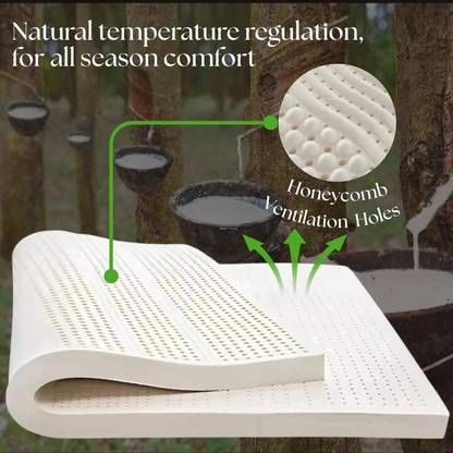 Aeronix Latex-Ortho Reversible Foam Comfort & Orthopedic Mattress 6 inch King High Resilience (HR) Foam Mattress