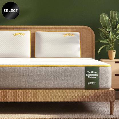 SleepyCat Ultima Natural Latex Mattress 8 inch Queen High Density (HD) Foam Mattress