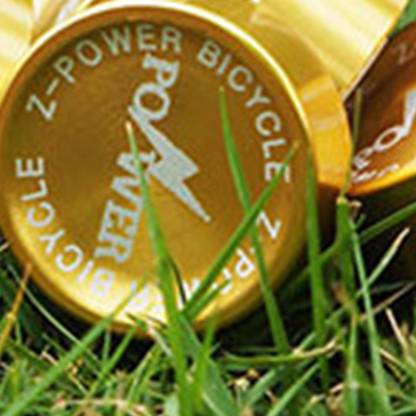 Lyla Brake Caliper Piston Bicycle Hydraulic Disc Brake Parts Pistons Gold Bicycle Brake Disk