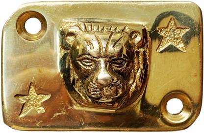 road religion Brass Lion Style Front Disk Oil Container Cap for Bullet Bikes Bike Crash Guard