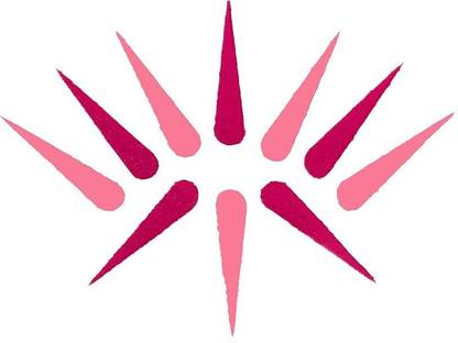 Comet Busters Traditional Hot Pink and Light Pink Tilak Bindi (13mm) (BV1502) Forehead Pink Bindis