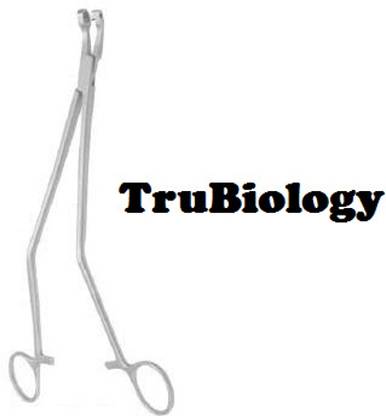 TRU BIOLOGY Cervical Punch Biopsy Forceps Biopsy Punch
