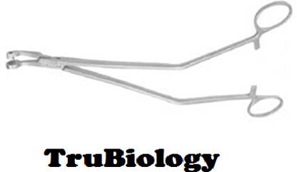 TRU BIOLOGY Punch Biopsy Forceps (with lock) Biopsy Punch