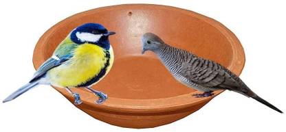 ClayWalaz Bird pot/Bird Feeding & Watering Supplies for Balcony or Garden \ Regular Bird Bath