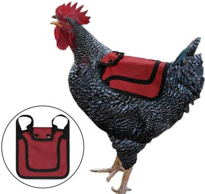 Lyla Chicken Saddle Chicken Jacket Straps Adjustable Hen Apron Chicken Apron Red Window Bird Feeder Bird Feeder