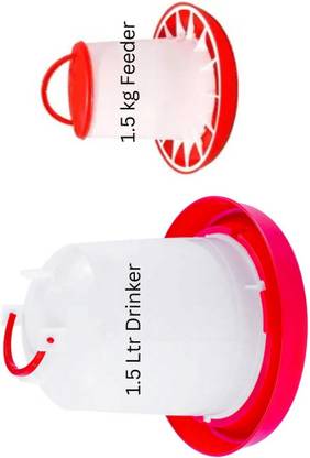 TM&W Platform Bird Feeder