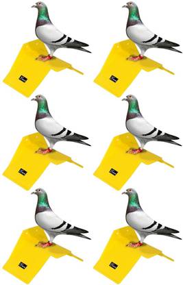 seok SEOK Pigeon Stand (Pack of 6) Caged Bird Feeder