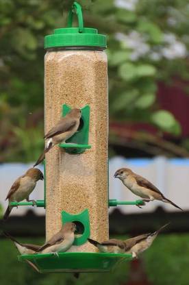 Deeti enterprise Window Bird Feeder