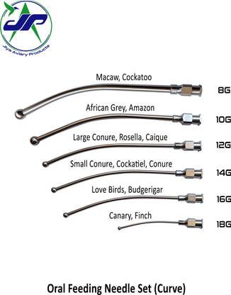 JIYA AVIARY PRODUCTS Oral Feeding needles Set 8G to 18G shape curved for Birds, animals, pets Tube Bird Feeder