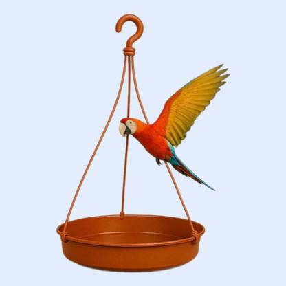 Jantrex Squirrel-Proof Hook Mounted Bird Feeder Bird Feeding Made Easy Weatherproof Window Bird Feeder Bird Feeder