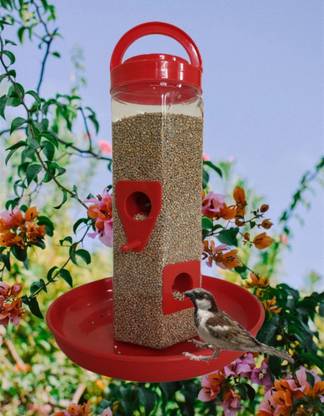 AWESTAR INCORPORATION Window Bird Feeder Bird Feeder