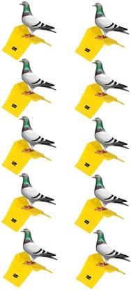 seok Pigeon Stand (Pack of 10) Premium Quality Caged Bird Feeder