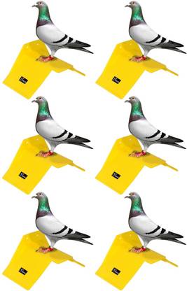 seok Pigeon Stand (Pack of 6) Caged Bird Feeder