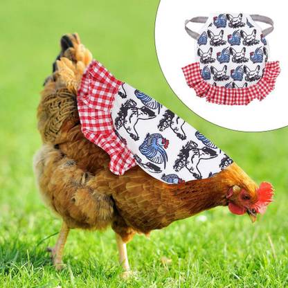 Lyla Hen Apron Vest Chicken Saddle Jacket Clothes for Poultry Duck Lay Egg Window Bird Feeder Bird Feeder