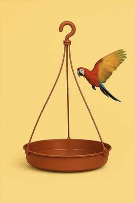Jantrex Weatherproof Bird Feeder - Bird Feeder for Garden Design with Easy Clean Bird Window Bird Feeder Bird Feeder
