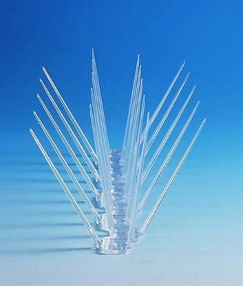 Exboma Bird Spike