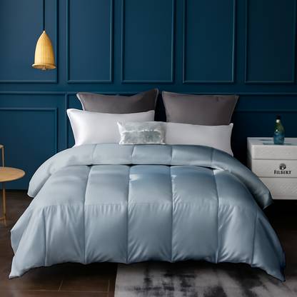 Filbert Solid King Comforter for  Mild Winter