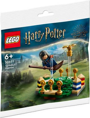 LEGO 30651 Quidditch Practice V110