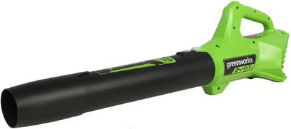 Greenworks Leaf Blower