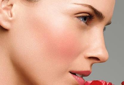 WOONGMI High Pigmented Soft Touch makeup Blusher