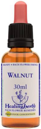 Insto 30ml WALNUT Bach Flower Remedies concentrate by Healing Herbs, London, UK.