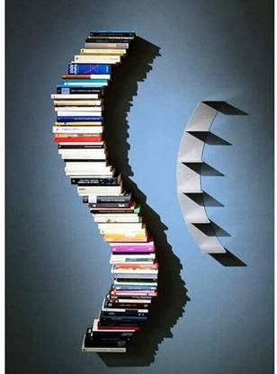 INDIAN DÉCOR Classic Wave Invisible Book Shelf (White) Iron Book End