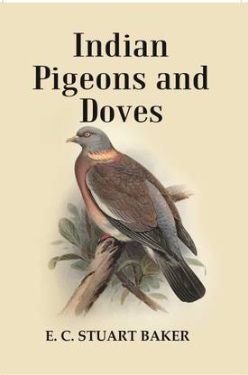 Indian Pigeons and Doves